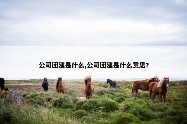 公司团建是什么,公司团建是什么意思?