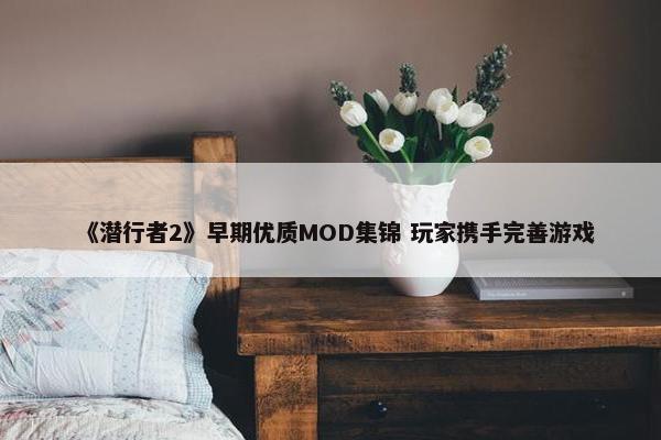 《潜行者2》早期优质MOD集锦 玩家携手完善游戏