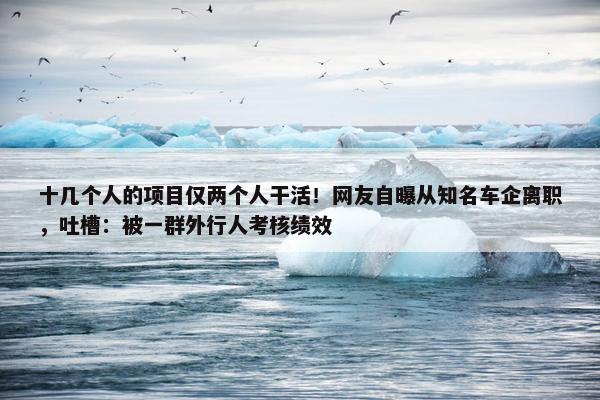 十几个人的项目仅两个人干活！网友自曝从知名车企离职，吐槽：被一群外行人考核绩效