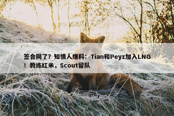 签合同了？知情人爆料：Tian和Peyz加入LNG！教练红米，Scout留队