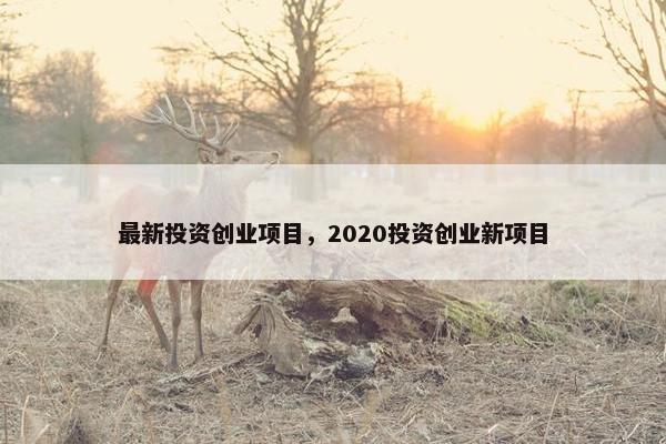 最新投资创业项目，2020投资创业新项目