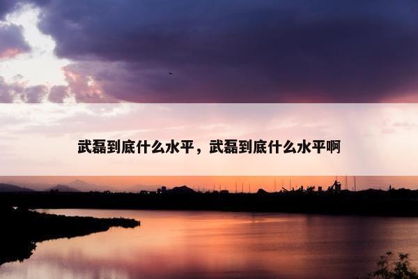 武磊到底什么水平，武磊到底什么水平啊