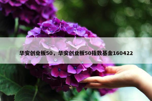 华安创业板50，华安创业板50指数基金160422