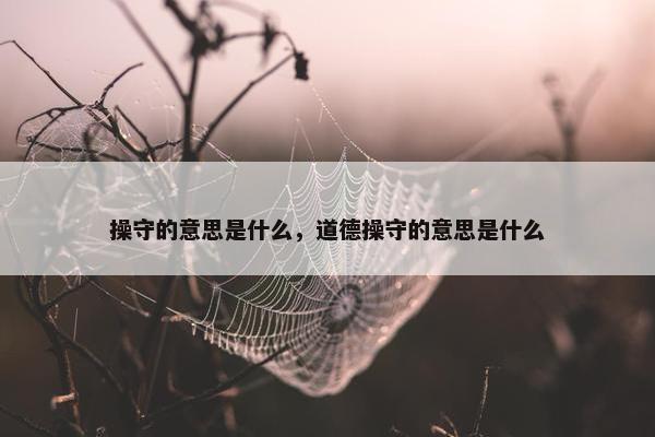 操守的意思是什么，道德操守的意思是什么