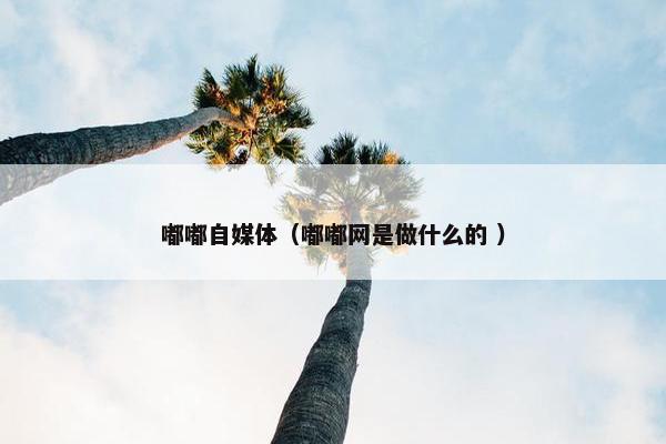 嘟嘟自媒体（嘟嘟网是做什么的 ）