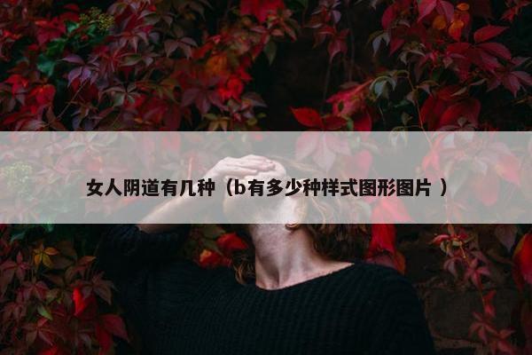 女人阴道有几种（b有多少种样式图形图片 ）