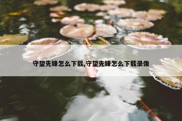 守望先锋怎么下载,守望先锋怎么下载录像