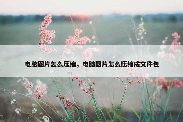 电脑图片怎么压缩，电脑图片怎么压缩成文件包