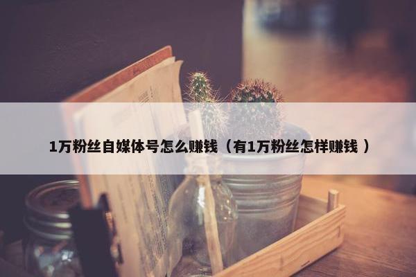 1万粉丝自媒体号怎么赚钱（有1万粉丝怎样赚钱 ）