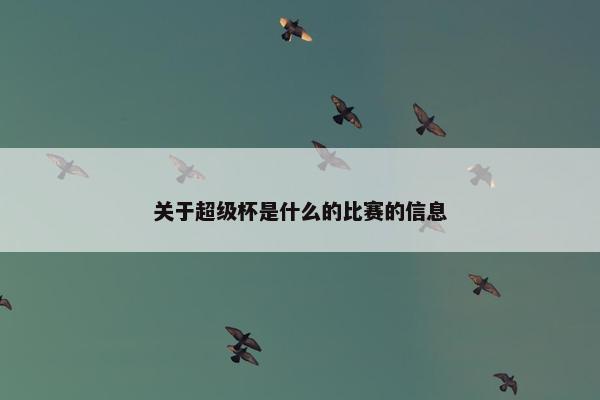 关于超级杯是什么的比赛的信息