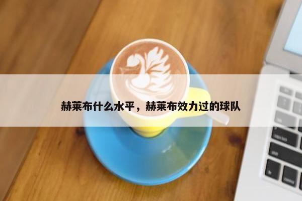 赫莱布什么水平，赫莱布效力过的球队