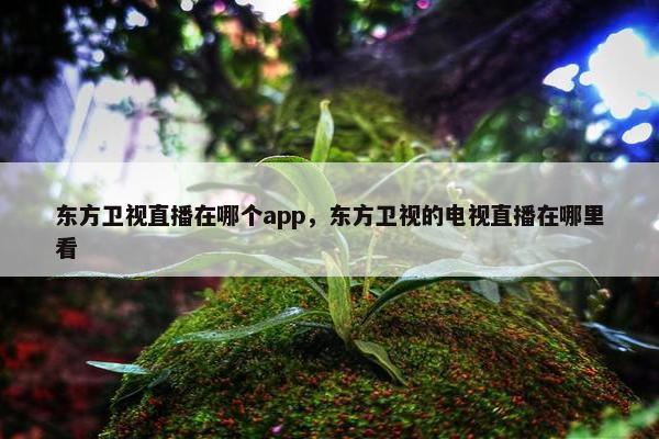 东方卫视直播在哪个app，东方卫视的电视直播在哪里看