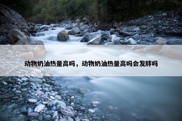 动物奶油热量高吗，动物奶油热量高吗会发胖吗