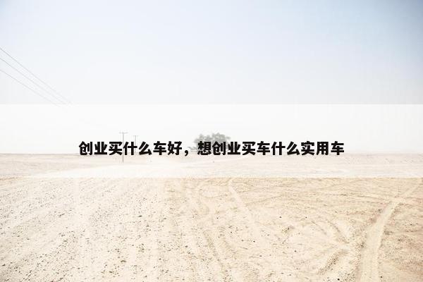 创业买什么车好，想创业买车什么实用车