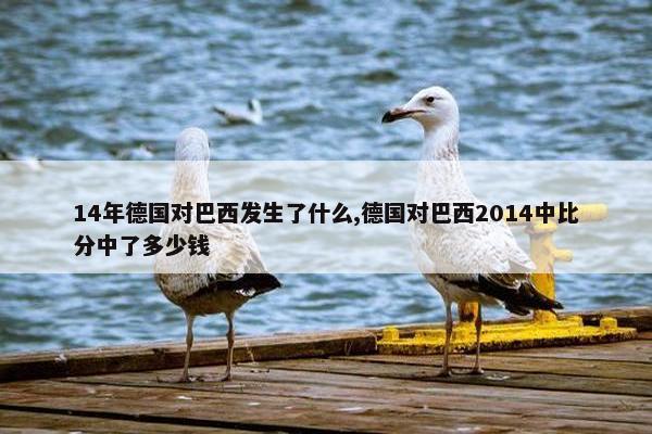 14年德国对巴西发生了什么,德国对巴西2014中比分中了多少钱