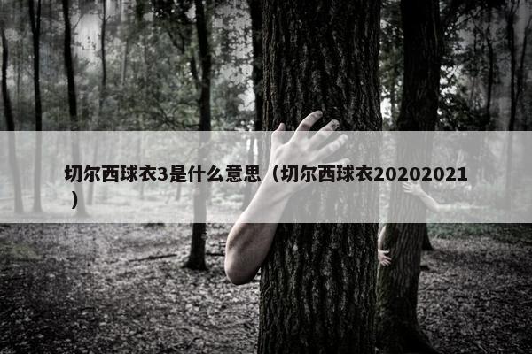 切尔西球衣3是什么意思（切尔西球衣20202021 ）