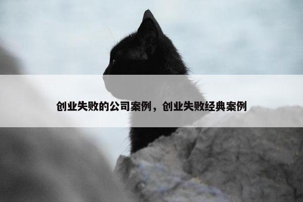 创业失败的公司案例，创业失败经典案例