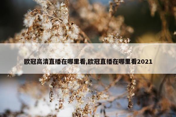 欧冠高清直播在哪里看,欧冠直播在哪里看2021