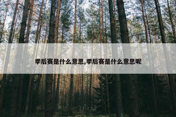 季后赛是什么意思,季后赛是什么意思呢