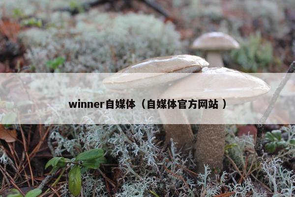 winner自媒体（自媒体官方网站 ）