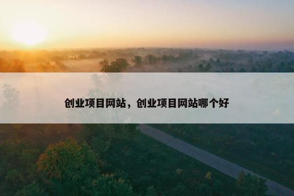 创业项目网站，创业项目网站哪个好