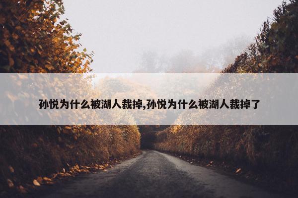 孙悦为什么被湖人裁掉,孙悦为什么被湖人裁掉了