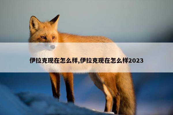 伊拉克现在怎么样,伊拉克现在怎么样2023