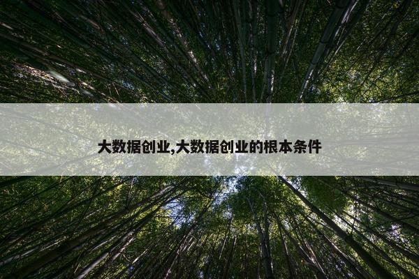 大数据创业,大数据创业的根本条件