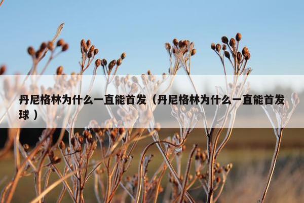 丹尼格林为什么一直能首发（丹尼格林为什么一直能首发球 ）