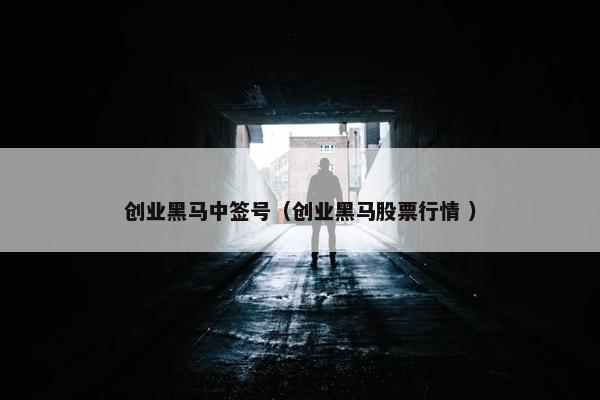 创业黑马中签号（创业黑马股票行情 ）