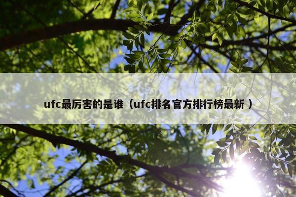 ufc最厉害的是谁（ufc排名官方排行榜最新 ）