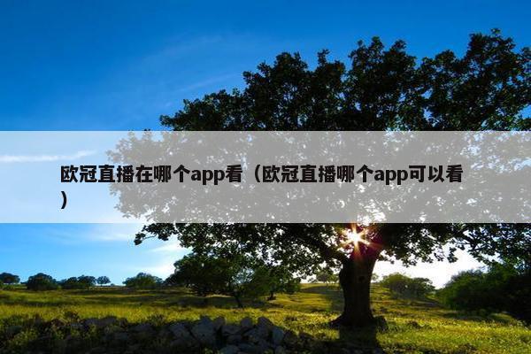 欧冠直播在哪个app看（欧冠直播哪个app可以看 ）