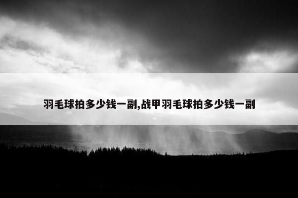 羽毛球拍多少钱一副,战甲羽毛球拍多少钱一副