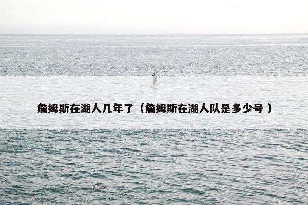 詹姆斯在湖人几年了（詹姆斯在湖人队是多少号 ）