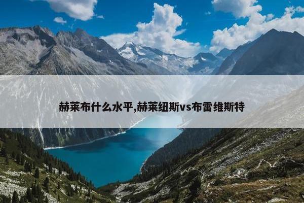 赫莱布什么水平,赫莱纽斯vs布雷维斯特