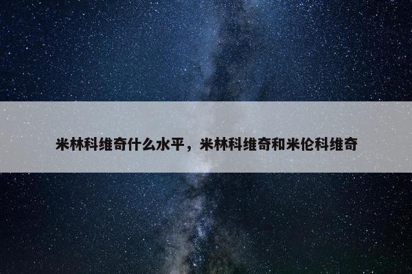 米林科维奇什么水平，米林科维奇和米伦科维奇