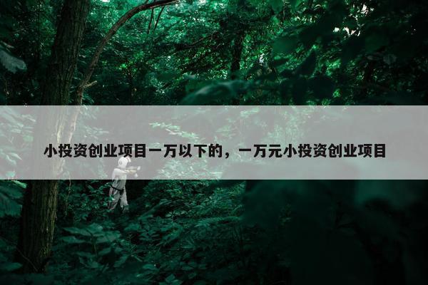 小投资创业项目一万以下的，一万元小投资创业项目