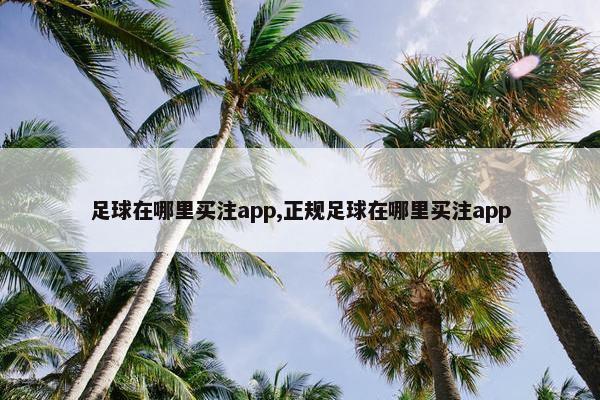 足球在哪里买注app,正规足球在哪里买注app