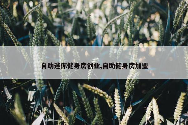 自助迷你健身房创业,自助健身房加盟