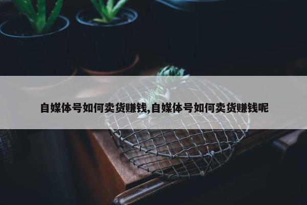 自媒体号如何卖货赚钱,自媒体号如何卖货赚钱呢