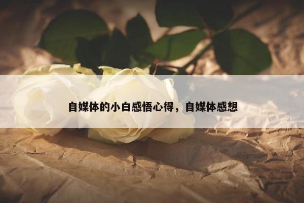 自媒体的小白感悟心得，自媒体感想