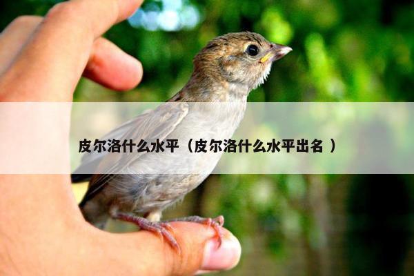 皮尔洛什么水平（皮尔洛什么水平出名 ）