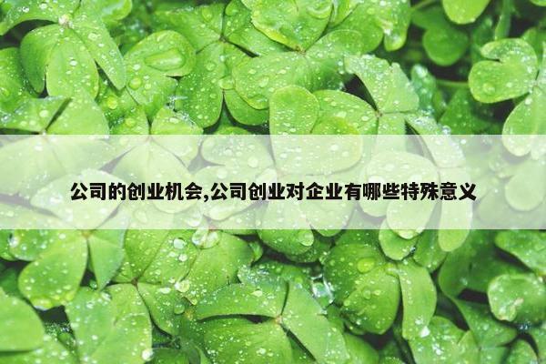 公司的创业机会,公司创业对企业有哪些特殊意义