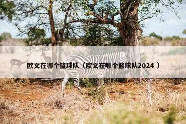 欧文在哪个篮球队（欧文在哪个篮球队2024 ）