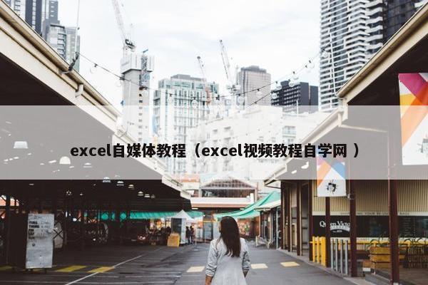 excel自媒体教程（excel视频教程自学网 ）