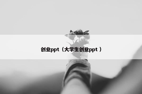 创业ppt（大学生创业ppt ）