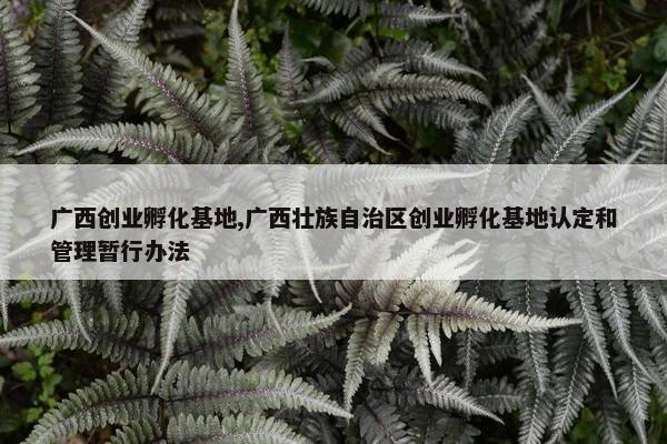 广西创业孵化基地,广西壮族自治区创业孵化基地认定和管理暂行办法