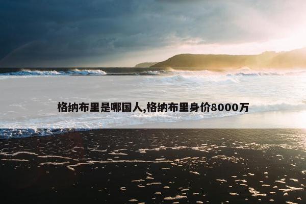 格纳布里是哪国人,格纳布里身价8000万