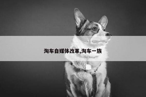 淘车自媒体改革,淘车一族