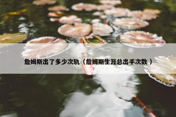 詹姆斯出了多少次轨（詹姆斯生涯总出手次数 ）